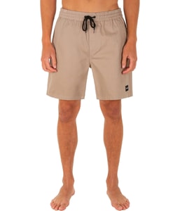 Pleasure Point Volley Casual Walking Shorts
