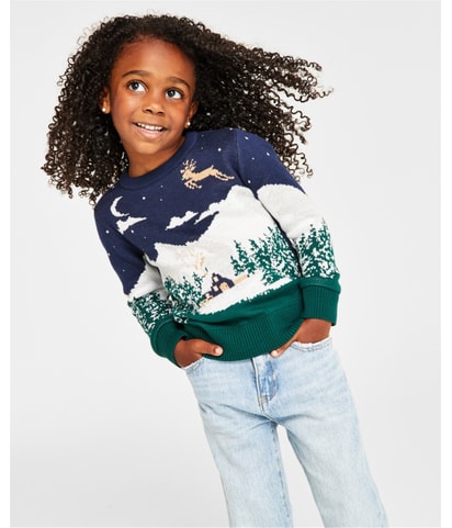 Holiday Lane Christmas Themed Pullover Sweater