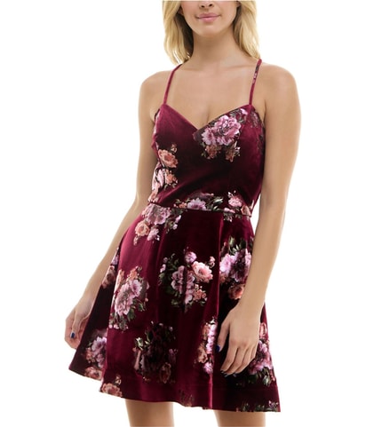 Velvet Fit & Flare Dress