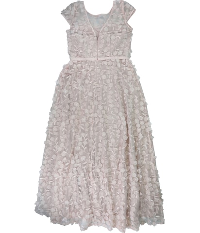 Flower Embellished Gown Fit & Flare Dress