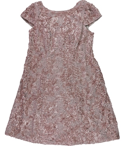 Rosettes Lace A-line Dress