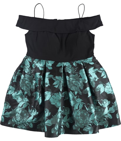 Floral Fit & Flare Dress
