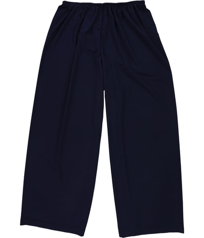 Chiffon Wide Leg Dress Pants