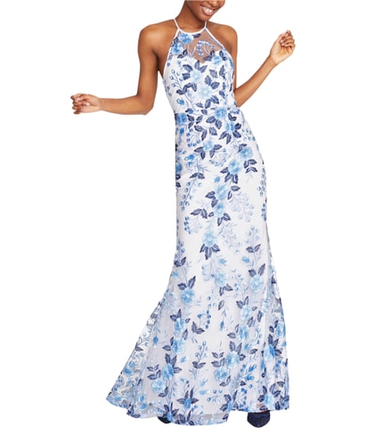 Embroidered Gown Fit & Flare Dress