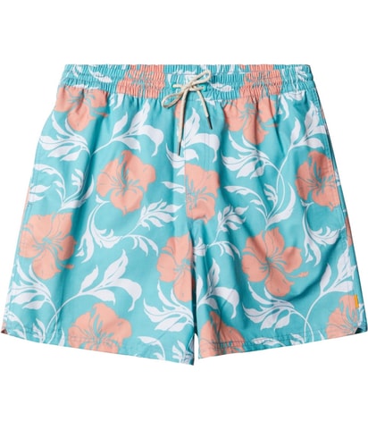 Big Charmer Swim Bottom Trunks