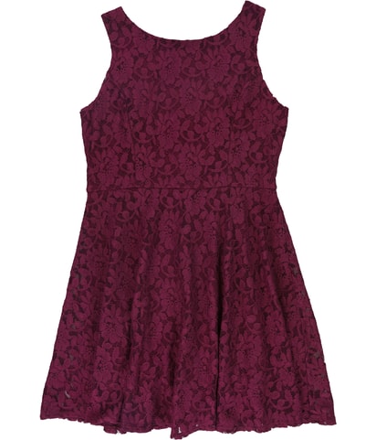 Lace Fit & Flare Dress
