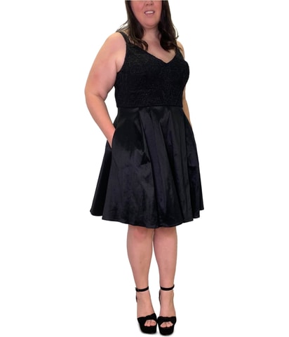 Lace Top Fit & Flare Dress