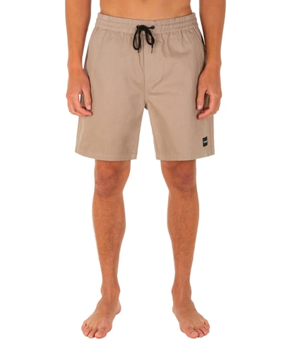 Pleasure Point Volley Casual Walking Shorts