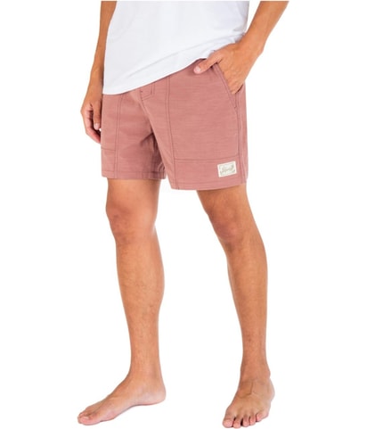 Drawstring Casual Walking Shorts