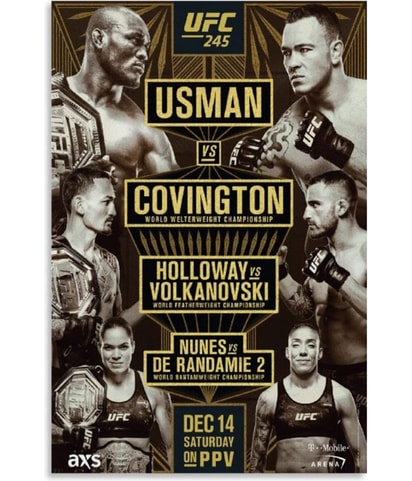 245 Dec 14th Saturday Official Poster
