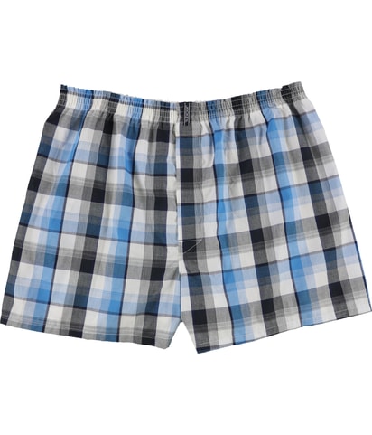 Plaid Underwear Boxers