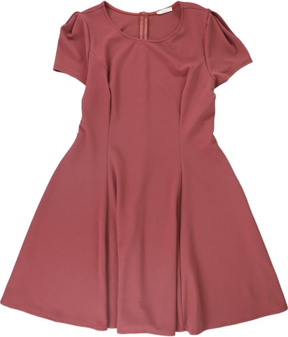 Cap Sleeve Skater Dress