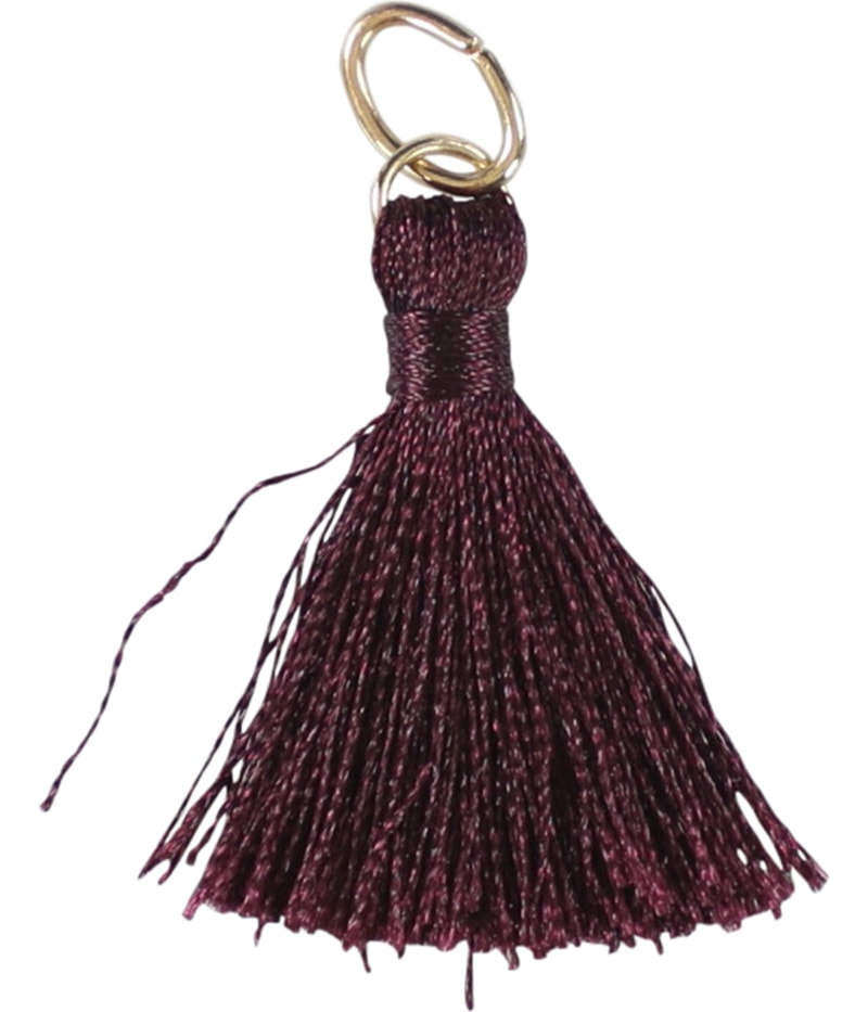 American Eagle Womens 1-Pack Tassel Charm Bracelet