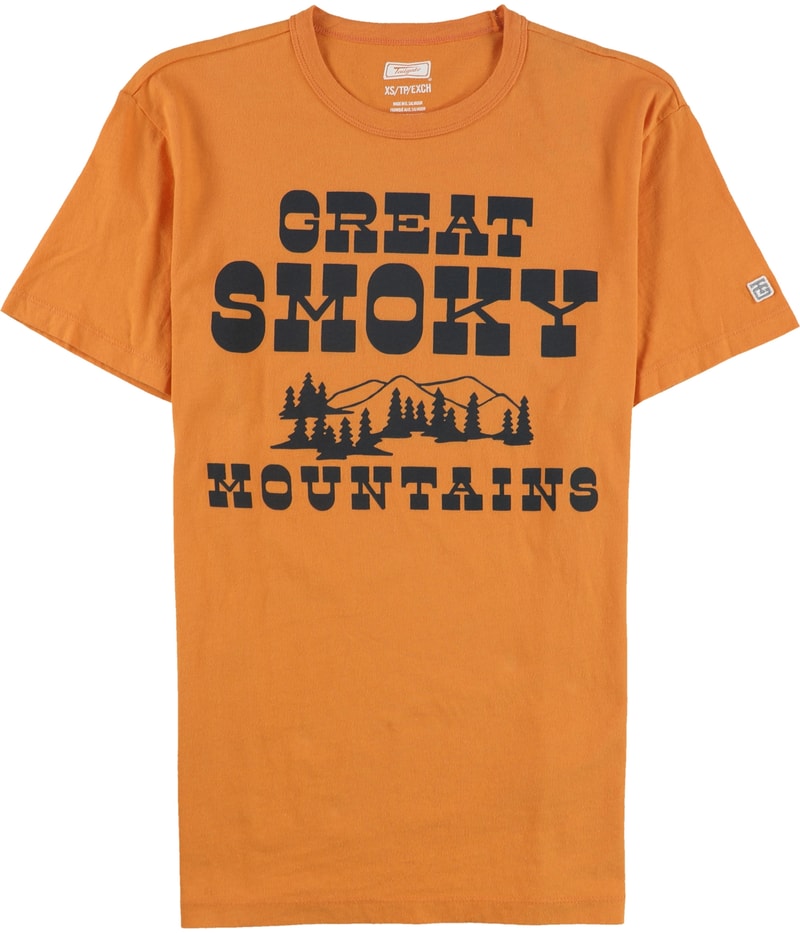 American Eagle Mens Great Smoky Mountains Graphic T-Shirt