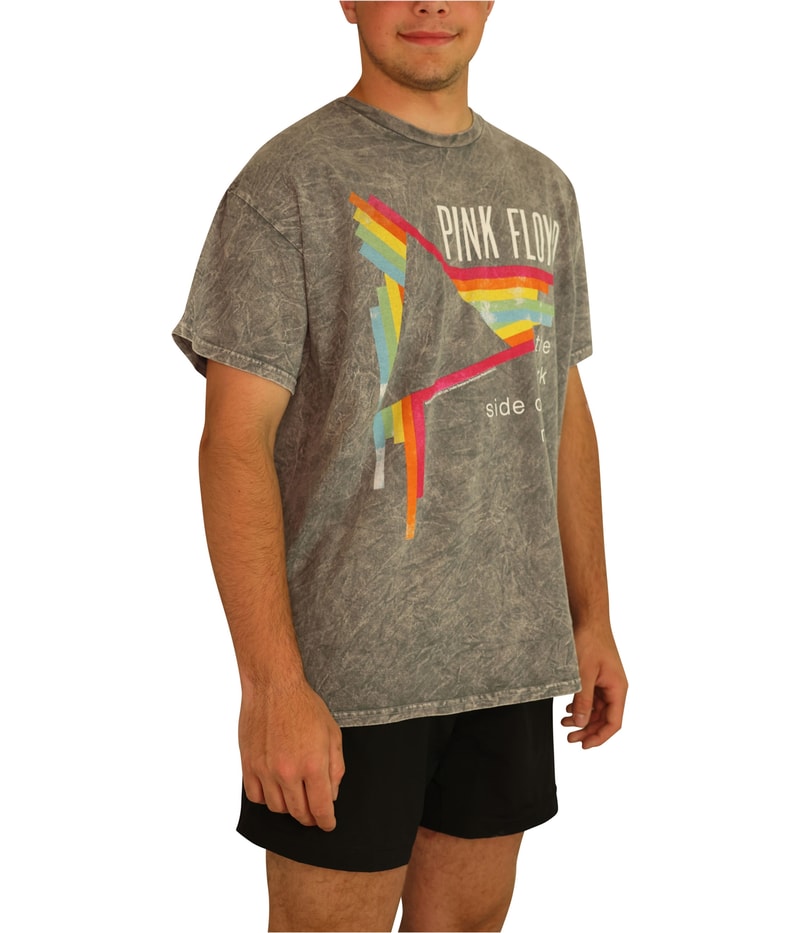 Junk Food Mens Pink Floyd Graphic T-Shirt in Gray, image 2 of 5