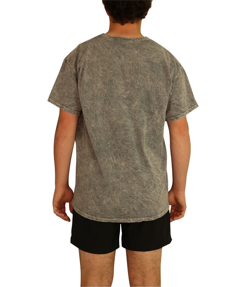Junk Food Mens Pink Floyd Graphic T-Shirt in Gray, image 3 of 5