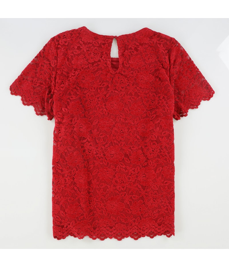 Tahari Womens Lace Knit Blouse