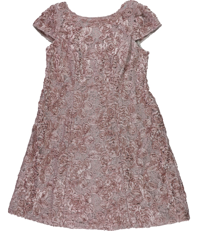 Alex Evenings Womens Rosettes Lace A-line Dress