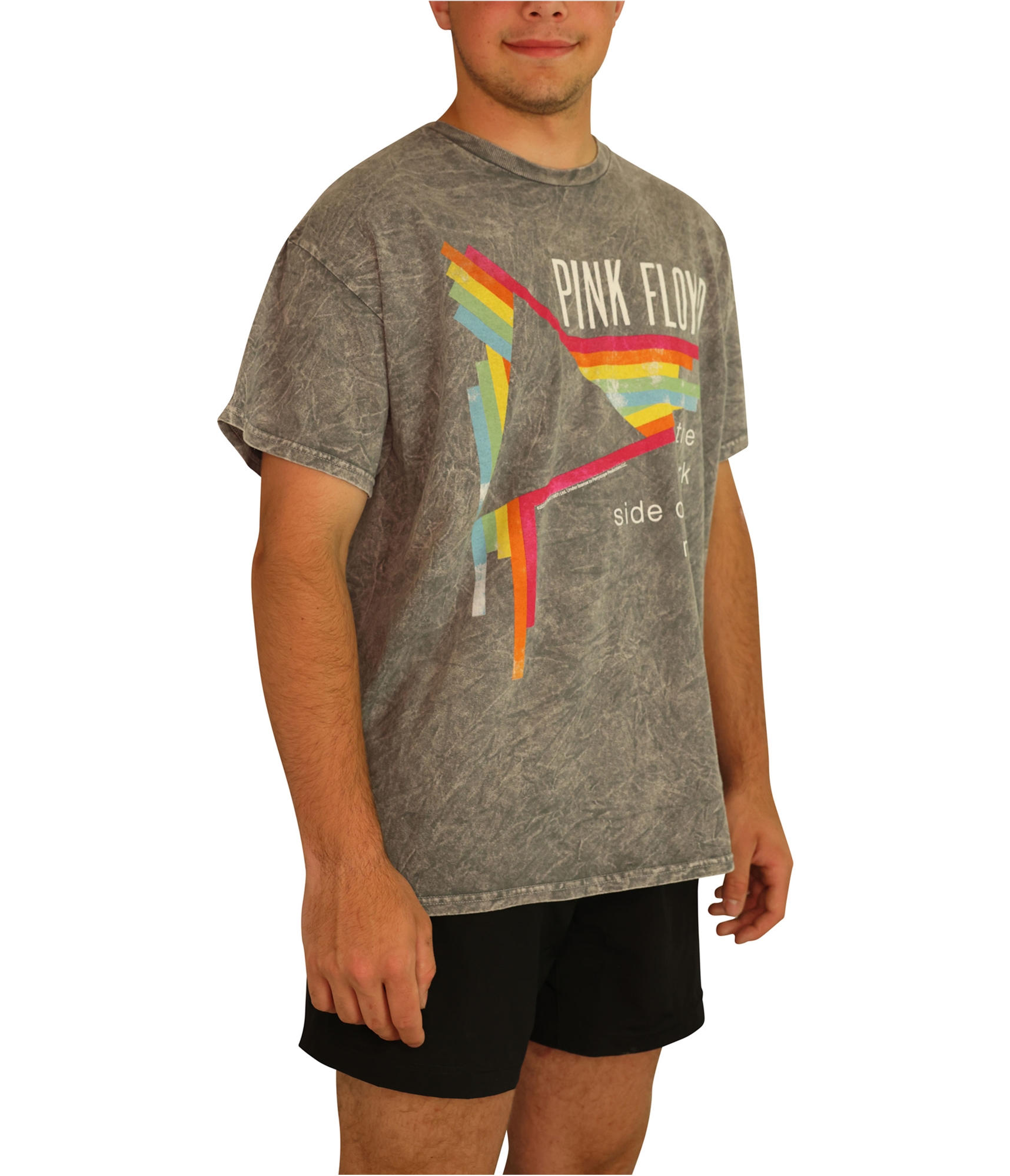 Junk Food Mens Pink Floyd Graphic T-Shirt