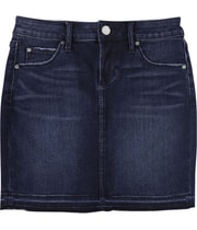 Articles of Society Womens Stacy A-line Skirt in Blue