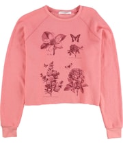 Project Social T Womens Les Fleurs Sweatshirt in Pink
